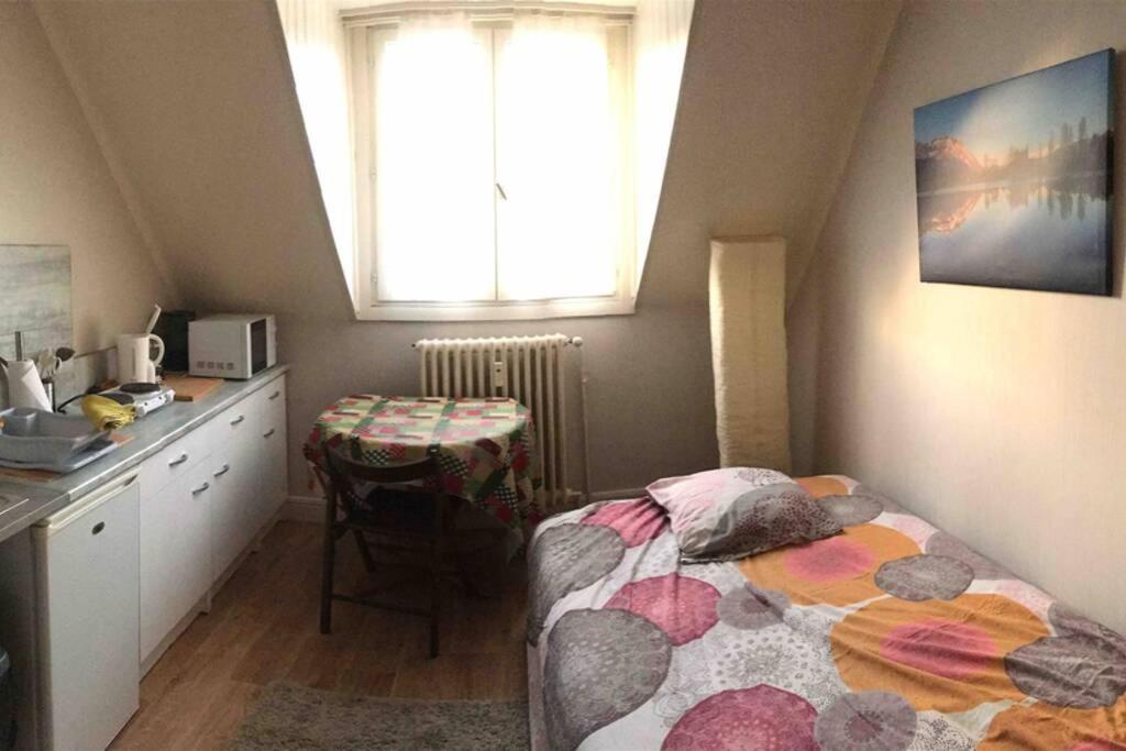 Studio Saint-Andre Chambéry Zewnętrze zdjęcie
